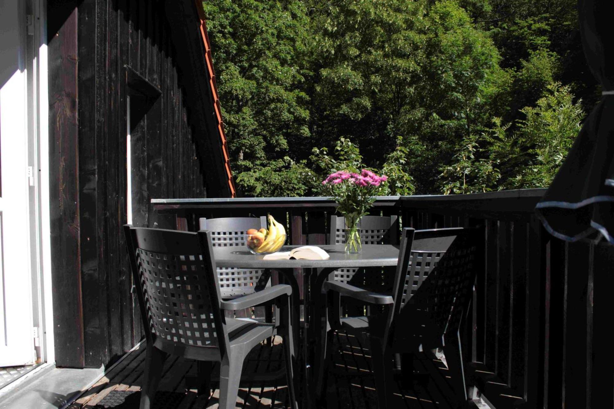 Ferienwohnung Forsthaus Am Brocken, 55 Qm, 2 Schlafzimmer F7 Ilsenburg Εξωτερικό φωτογραφία